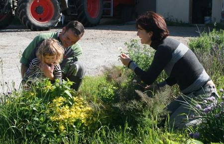 Cueillette palntes Cueillette plantes